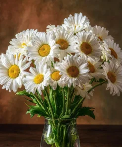 Alaska Shasta Daisy Seeds - 100 Seeds - Classic White Perennial Flowers - Image 6