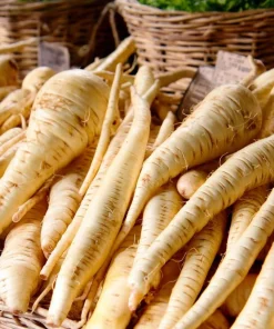 All American Parsnip Seeds - 200 Count Heirloom Root Vegetable for Gardens - Image 1