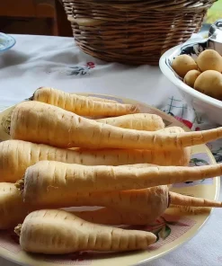 All American Parsnip Seeds - 200 Count Heirloom Root Vegetable for Gardens - Image 2
