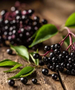 American Black Elderberry Seeds - 50 Heirloom Sambucus Canadensis for Gardens - Image 1
