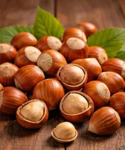 American Hazelnut Tree Live Plant - 6-12