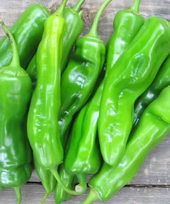 Anaheim Chili Pepper Seeds - 25 Seed Pack for Gardens & Cooking - Image 3