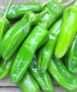 Anaheim Chili Pepper Seeds - 25 Seed Pack for Gardens & Cooking - Image 5