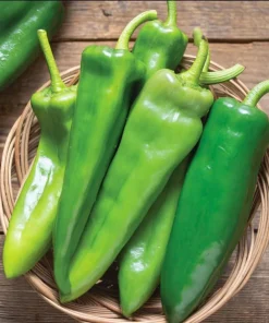 Anaheim Chili Pepper Seeds - 25 Seed Pack for Gardens & Cooking - Image 1