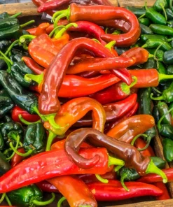 Anaheim Chili Pepper Seeds - 300 Count, Capsicum Annuum, Open Pollinated - Image 5