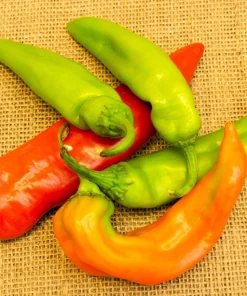Anaheim Chili Pepper Seeds - 300 Count, Capsicum Annuum, Open Pollinated - Image 6