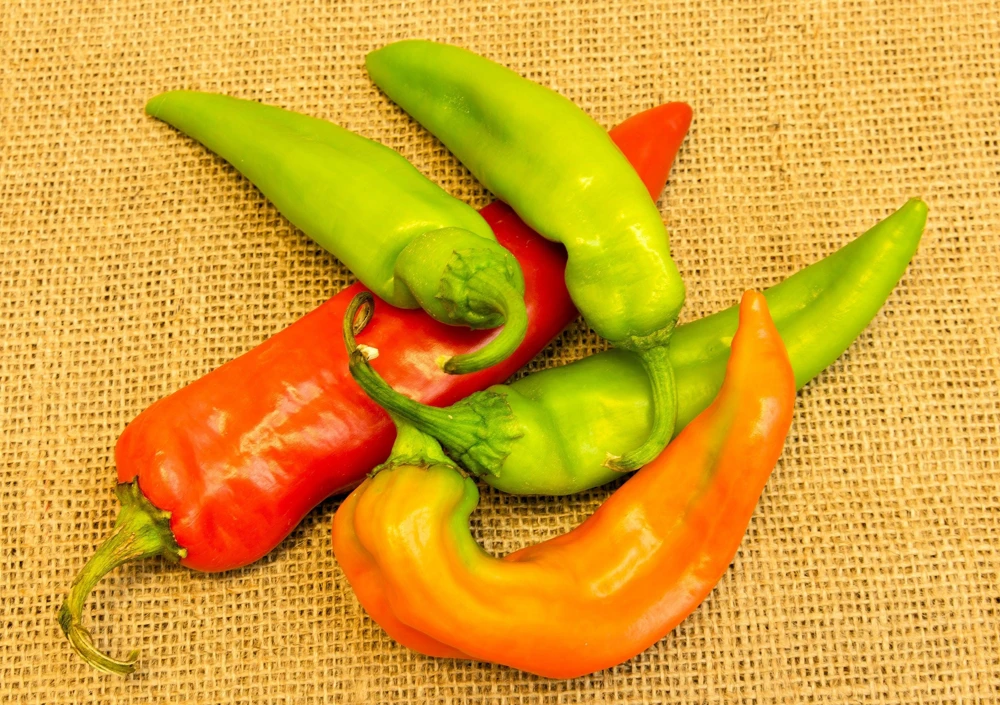 Anaheim Chili Pepper Seeds - 300 Count, Capsicum Annuum, Open Pollinated - Image 6