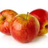 Anna Apple Tree Seeds - 100 Count - Edible Fruit Seeds - Image 1