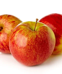 Anna Apple Tree Seeds - 100 Count - Edible Fruit Seeds - Image 1