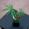 Anthurium polyschistum Live Plant – Rare Tropical Aroid Indoor Houseplant - Image 1