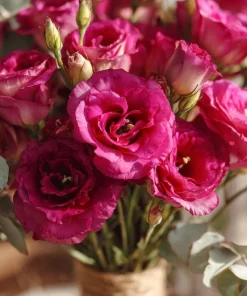 Arena III Red F1 Lisianthus Seeds - 25 Seeds, Rich Berry Rose Eustoma Grandiflorum - Image 1