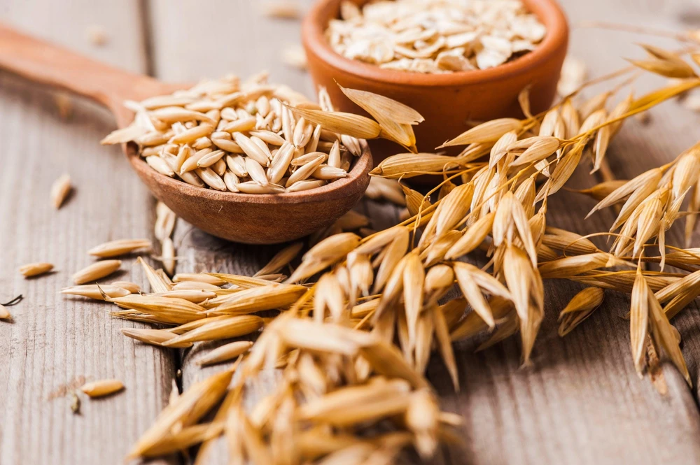 Armor Oat Seeds - Avena Sativa Cover Crop Seeds - 250 Quantity - Image 1