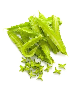 Asparagus Pea Seeds - 50 Count Winged Pea Vegetable Seeds for Gardening - Image 3