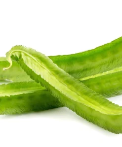 Asparagus Pea Seeds - 50 Count Winged Pea Vegetable Seeds for Gardening - Image 5