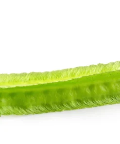 Asparagus Pea Seeds - 50 Count Winged Pea Vegetable Seeds for Gardening - Image 7