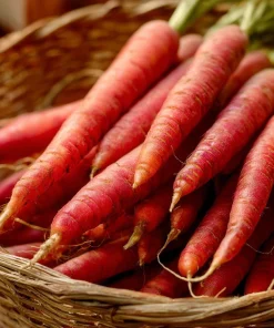 Atomic Red Carrot Seeds - 150 Heirloom Vegetable Seeds for Home Garden - Image 2