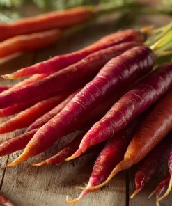 Atomic Red Carrot Seeds - 150 Heirloom Vegetable Seeds for Home Garden - Image 4