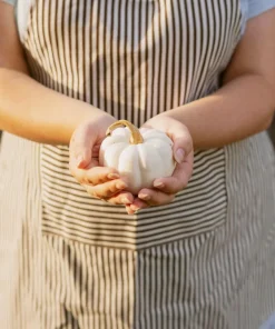 Baby Boo Miniature White Pumpkin Vegetable Seeds - 15 Count - Image 6
