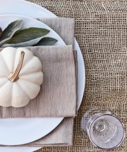 Baby Boo Miniature White Pumpkin Vegetable Seeds - 15 Count - Image 8