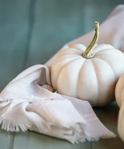 Baby Boo Miniature White Pumpkin Vegetable Seeds - 15 Count - Image 9