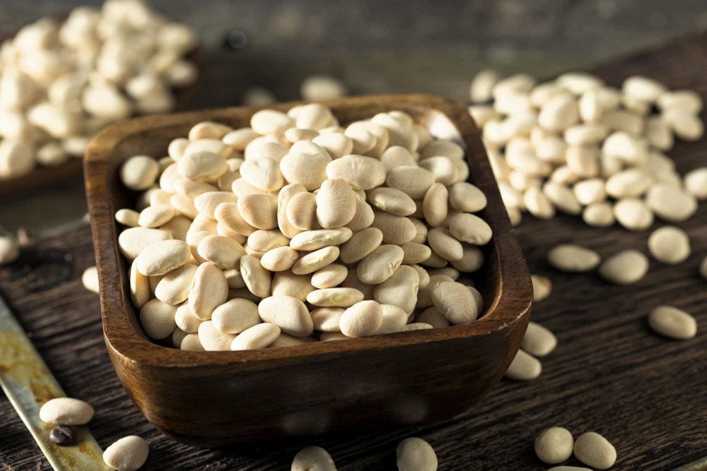 Baby Lima Bean Seeds - 50 Count - Phaseolus Lunatus Vegetable Seeds - Image 5