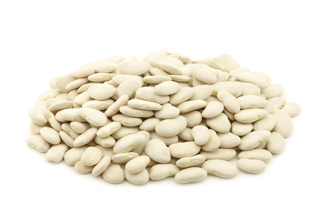 Baby Lima Bean Seeds - 50 Count - Phaseolus Lunatus Vegetable Seeds - Image 6