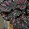 Begonia & Coleus Live Plant Duo - Potted Houseplants, Medium Size, Indoor - Image 1