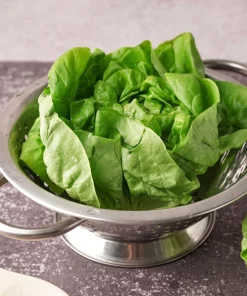 Bibb Lettuce Seeds - 2000 Butterhead Vegetable Seeds for Home Gardens - Image 7