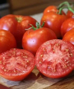 Big Boy Tomato Live Plants - Set of 2, 4-6 Inch Tall Seedlings for Garden - Image 5