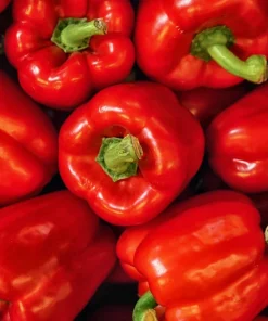 Big Red Bell Pepper Seeds - Sweet Capsicum Annuum Vegetable Seeds - 150 Count - Image 6