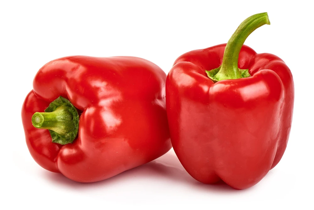 Big Red Bell Pepper Seeds - Sweet Capsicum Annuum Vegetable Seeds - 150 Count - Image 7