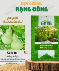 Birdhouse Gourd Seeds - 10 Seeds for Planting - Bottle Gourd Seeds - Image 3