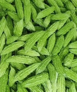 Bitter Melon Seeds - 10 Seeds for Planting - Bitter Gourd Vegetable - Image 3