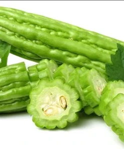 Bitter Melon Seeds - 10 Seeds for Planting - Bitter Gourd Vegetable - Image 4