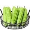 Bitter Melon Seeds - 10 Seeds for Planting - Bitter Gourd Vegetable - Image 1