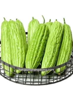Bitter Melon Seeds - 10 Seeds for Planting - Bitter Gourd Vegetable - Image 1