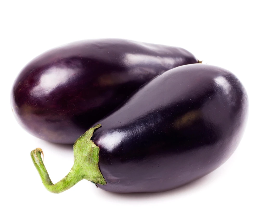Black Beauty Eggplant Seeds - 1000 Vegetable Seeds, Dark Purple Fruit - Image 6