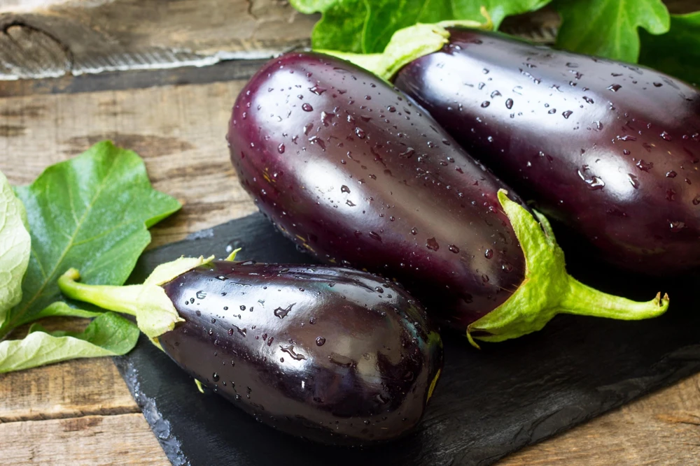 Black Beauty Eggplant Seeds - 1000 Vegetable Seeds, Dark Purple Fruit - Image 1