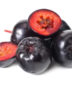 Black Chokeberry Seeds - Aronia Melanocarpa Shrub, White Flowers, 50 Seeds - Image 10