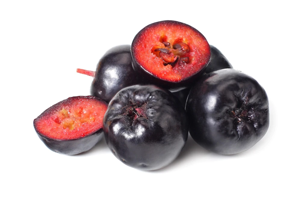 Black Chokeberry Seeds - Aronia Melanocarpa Shrub, White Flowers, 50 Seeds - Image 10