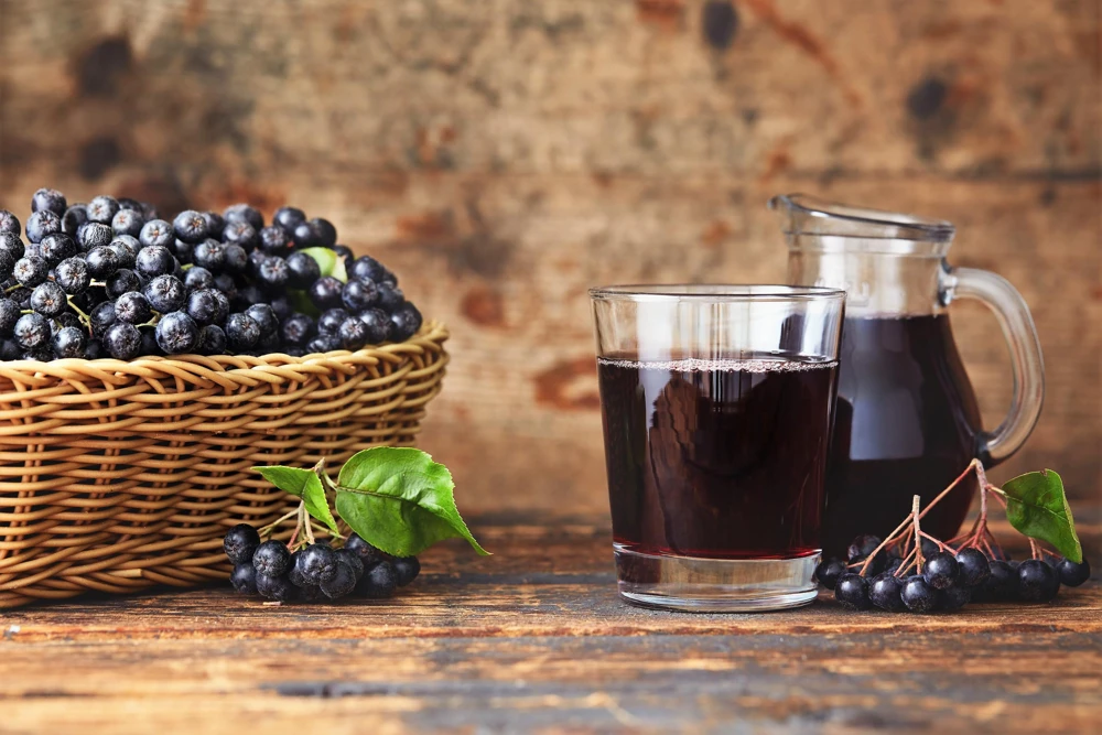 Black Chokeberry Seeds - Aronia Melanocarpa Shrub, White Flowers, 50 Seeds - Image 5