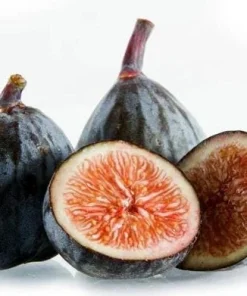 Black Fig Live Tree 4-6 Inch Tall - Sweet Dark Purple Heirloom Fruit Plant - Image 5
