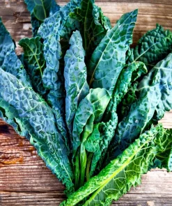 Black Magic Kale Seeds - 300 Count Packet - Dark, Cold-Hardy Leafy Greens - Image 4