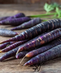 Black Nebula Carrot Seeds - Heirloom Deep Purple, Antioxidant-Rich - 250 Seeds - Image 4