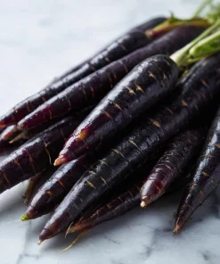 Black Nebula Carrot Seeds - Heirloom Deep Purple, Antioxidant-Rich - 250 Seeds - Image 5