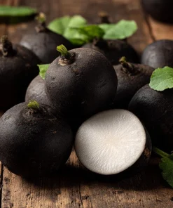 Black Spanish Round Radish Seeds - 250 Heirloom Winter Radishes for Crisp, Spicy Flavor - Image 4