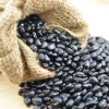 Black Turtle Bush Bean Seeds - 50 Black Bean Vegetable Seeds - Image 1