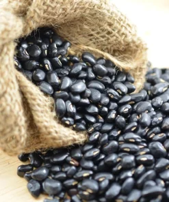 Black Turtle Bush Bean Seeds - 50 Black Bean Vegetable Seeds - Image 1