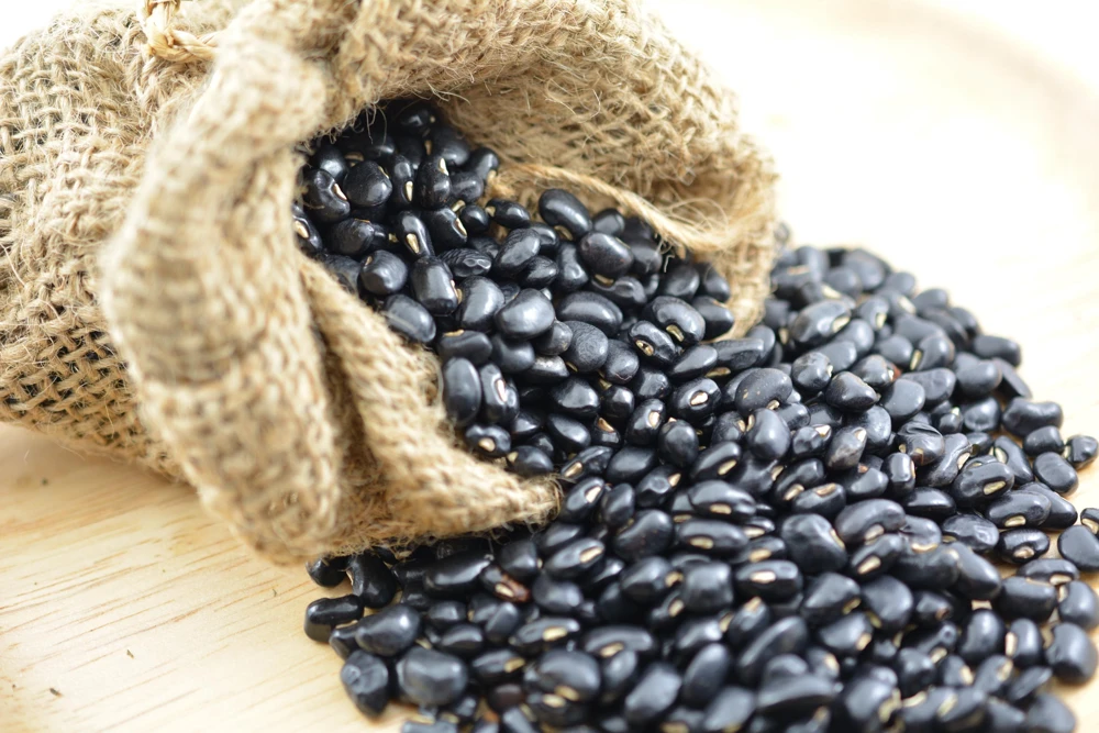 Black Turtle Bush Bean Seeds - 50 Black Bean Vegetable Seeds - Image 1