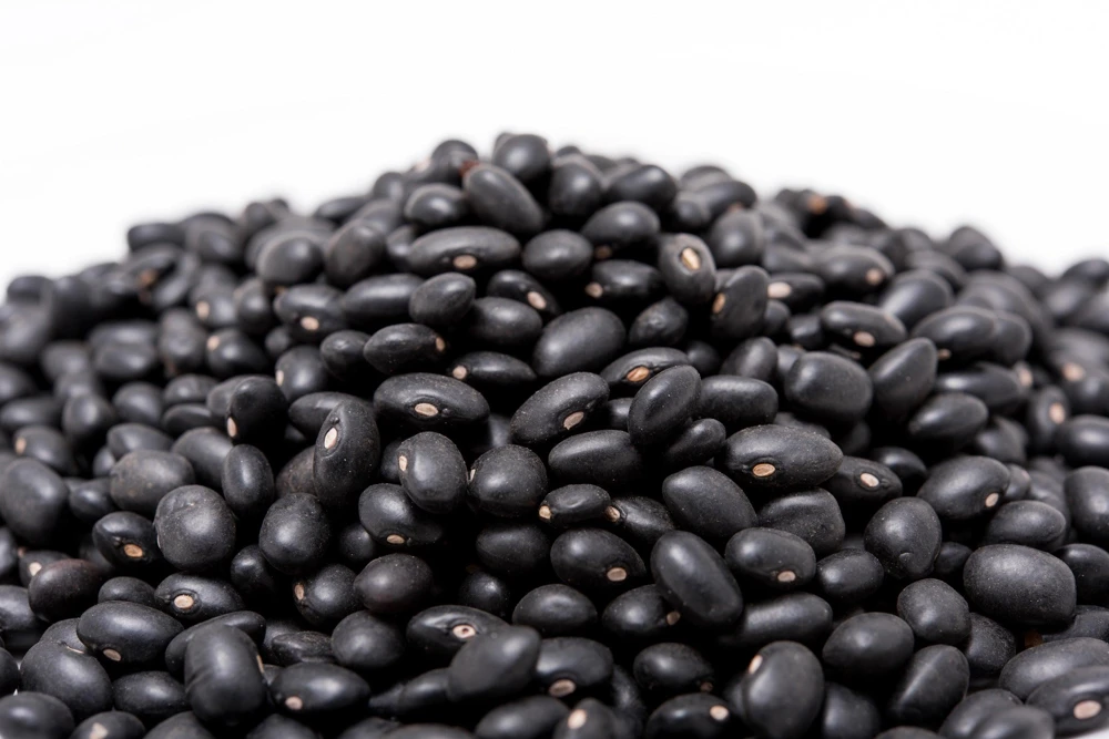Black Turtle Bush Bean Seeds - 50 Black Bean Vegetable Seeds - Image 4